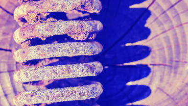 CONTROLLING CORROSION: A New Method to Measure the Acid Number in Crude Oil and Refinery Distillation Fractions