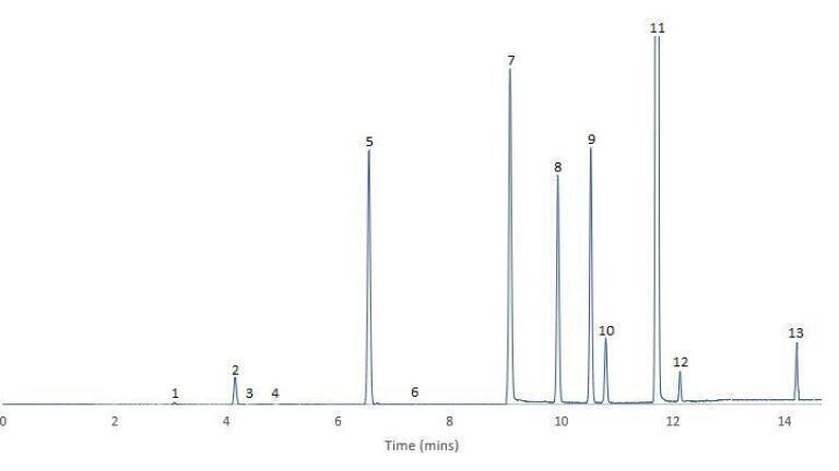 The Analysis of Flavours in Beer with ChromSync Software