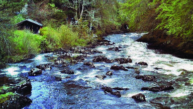 Lubricants and the Environment