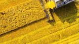 Rapid and Accurate Analysis of Sulphur and Chlorine in Biofuels by XRF