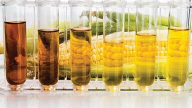 Biofuels: 2020 and beyond, innovations and advances