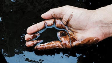 Combining Simulated Distillation (ASTM D7169) and Detailed Hydrocarbon Analysis (ASTM D7900) for the Full Boiling Point Distribution of Crude Oils