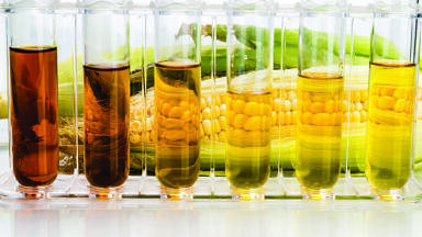 Lubricity Challenges of Renewable Diesel Fuels