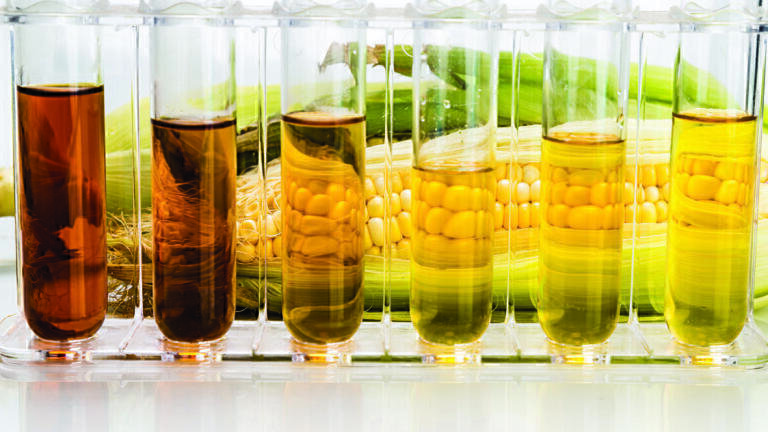 Lubricity Challenges of Renewable Diesel Fuels