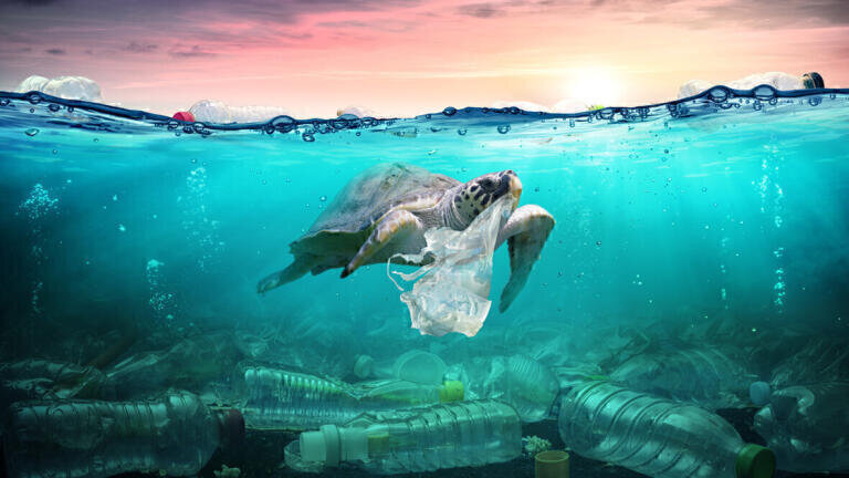 Recent Advances in Converting Ocean MSW to a variety of useful Fuels