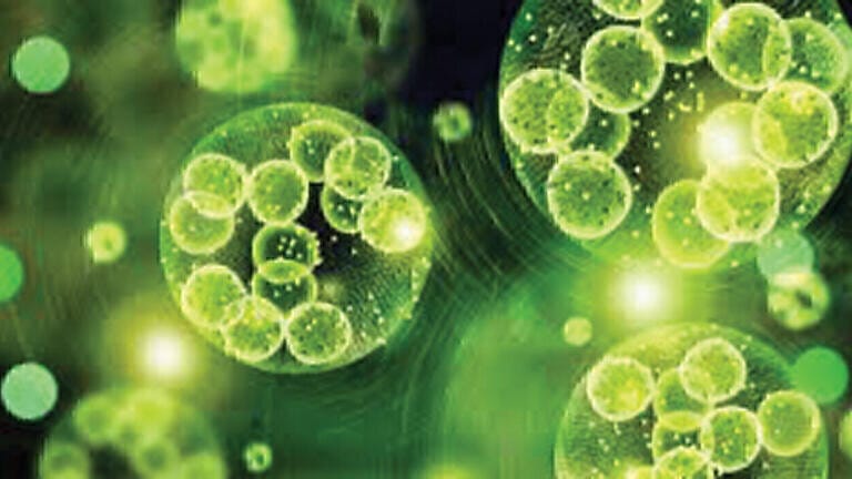 Latest advances in Artificial Photosynthesis:  a hidden gem in the realm of alternative energy technologies