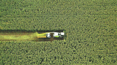 Exploring recent advances in Biodiesel Production and Feedstock Diversity