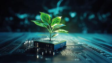Recent Advances in an emerging green technology : Nickel Phytomining