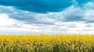 Making Lubrication Sustainable The Recent Advancements of Biolubricants