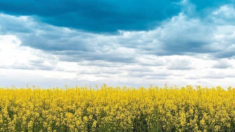 Making Lubrication Sustainable The Recent Advancements of Biolubricants