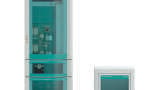 Analysis of Anions and Oxoanions using Ion Chromatography Mass Spectrometry (IC-MS)