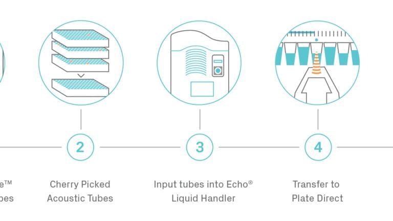 From plates to tubes: Enabling fully acoustic sample management in drug discovery