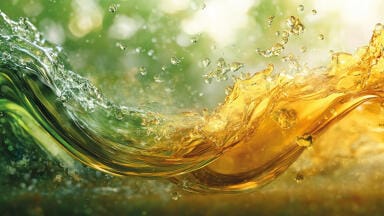 A Comparative Evaluation of Second - and Third - Generation Biofuels: Algae, Agricultural Residue, Municipal Solid Waste, and Wood 