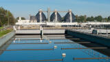 Analysing and Removing Phosphate in Sewage Treatment