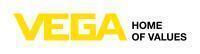VEGA Controls Ltd logo