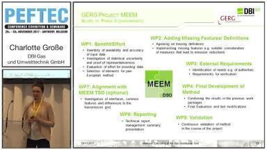 Methods for Determination of Methane Emissions of the Gas Distribution Grid