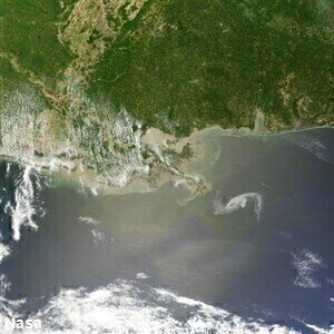 Oil industry prepares as Gulf spill reaches loop current