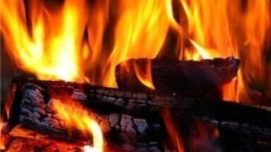 Biofuels 'remove energy need' from biomass refinement