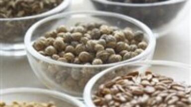 Pennycress seeds could add to biofuel composition