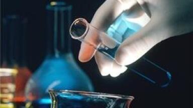 Biodetoxification 'beneficial for biofuel composition'