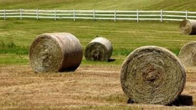 NI grants could see more farm waste in biofuel composition