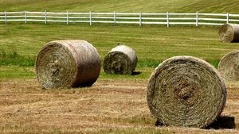 NI grants could see more farm waste in biofuel composition