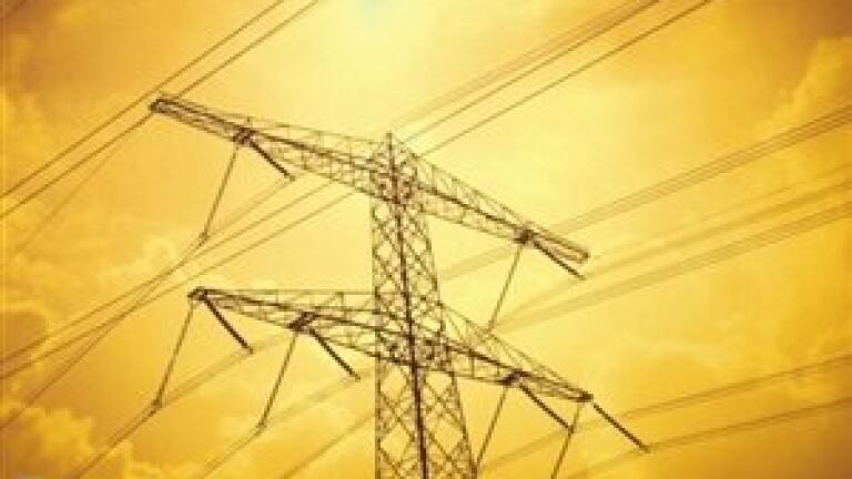 Biofuel analysis focuses on grid power