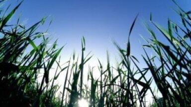 Biofuel analysis sees new generations in 2-3 years