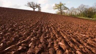 Biofuel analysis dismisses concerns of impact on food crops