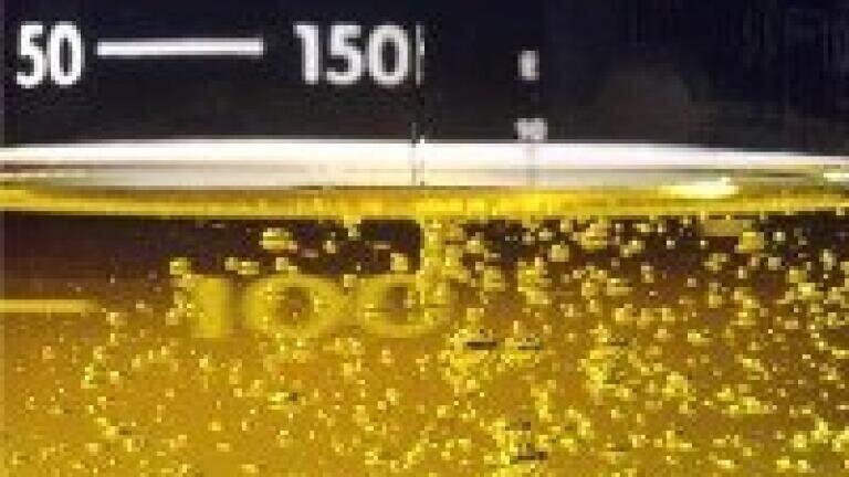 YFEL scheme could support biofuel testing in Middle East