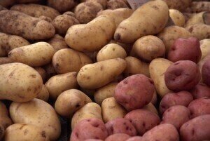 Potato peelings 'hold promise' for biofuel composition