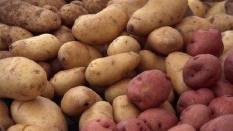 Potato peelings 'hold promise' for biofuel composition