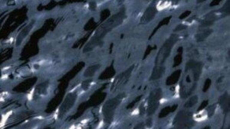Oil industry 'must research major leaks'