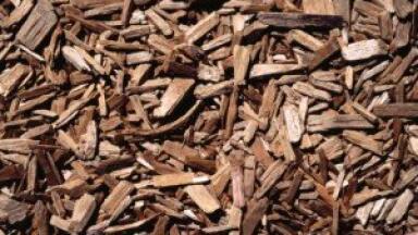 Biofuel testing suggests physical structure of biomass matters