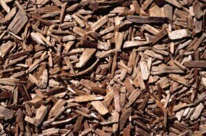 Biofuel testing suggests physical structure of biomass matters