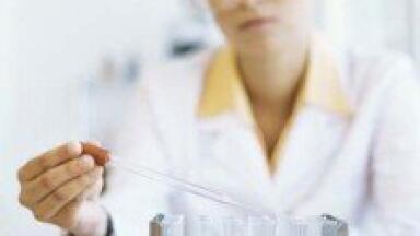 Enzyme mixture 'quickens conversion of biomass to biofuel'