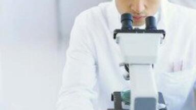 Biodiesel performance 'improved with nanoparticles'