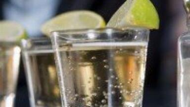 Tequila plant could be new biofuel