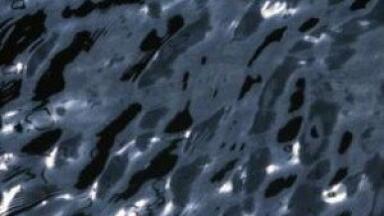 Aberystwyth oil spill under investigation