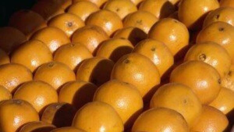 Scientists turn orange peel into biofuel