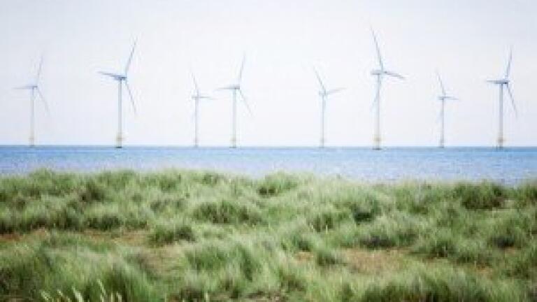 Oil industry could help renewable developments