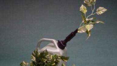 New biofuel could be diesel replacement