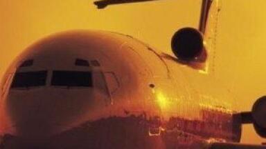 Aviation industry tests jatropha curcas