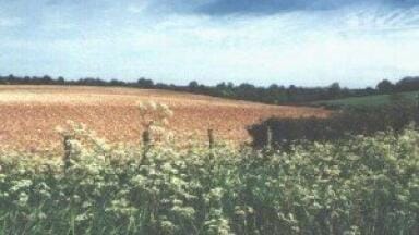 XRF products deployed to agriculture in Africa