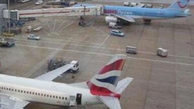 Biofuel analysis: Airlines need government support