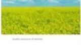 Straightforward Determination of Alkaline and Alkaline-Earth Cations in Biodiesel by Ion Chromatography