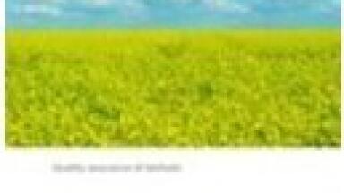 Straightforward Determination of Alkaline and Alkaline-Earth Cations in Biodiesel by Ion Chromatography