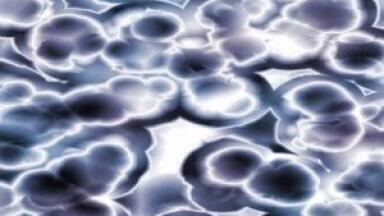 Bacteria modification could turn carbon into biofuel for cars