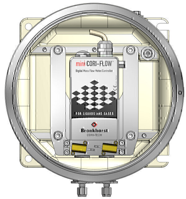 Ex-proof Coriolis Mass Flow Meter Petro Online