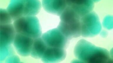 Bacteria modification could turn carbon into biofuel for cars